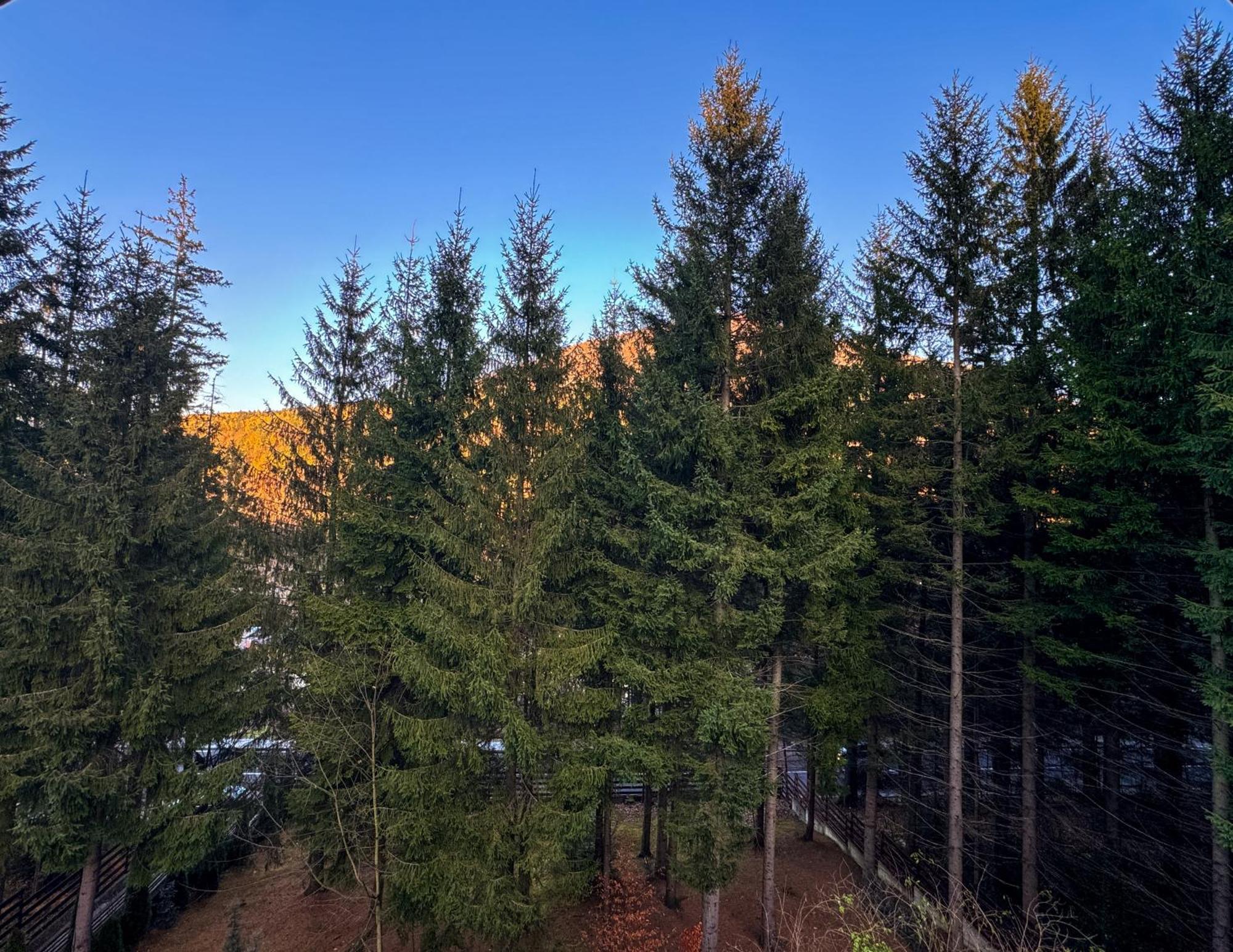 Impala Sinaia - Gazelle Appartement Buitenkant foto