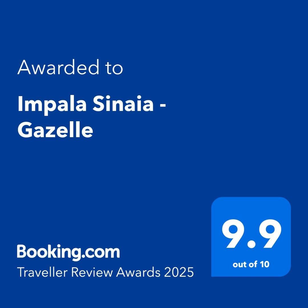 Impala Sinaia - Gazelle Appartement Buitenkant foto